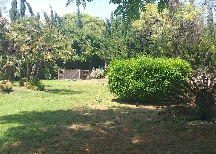 Belsol Lägenhet Torrevieja